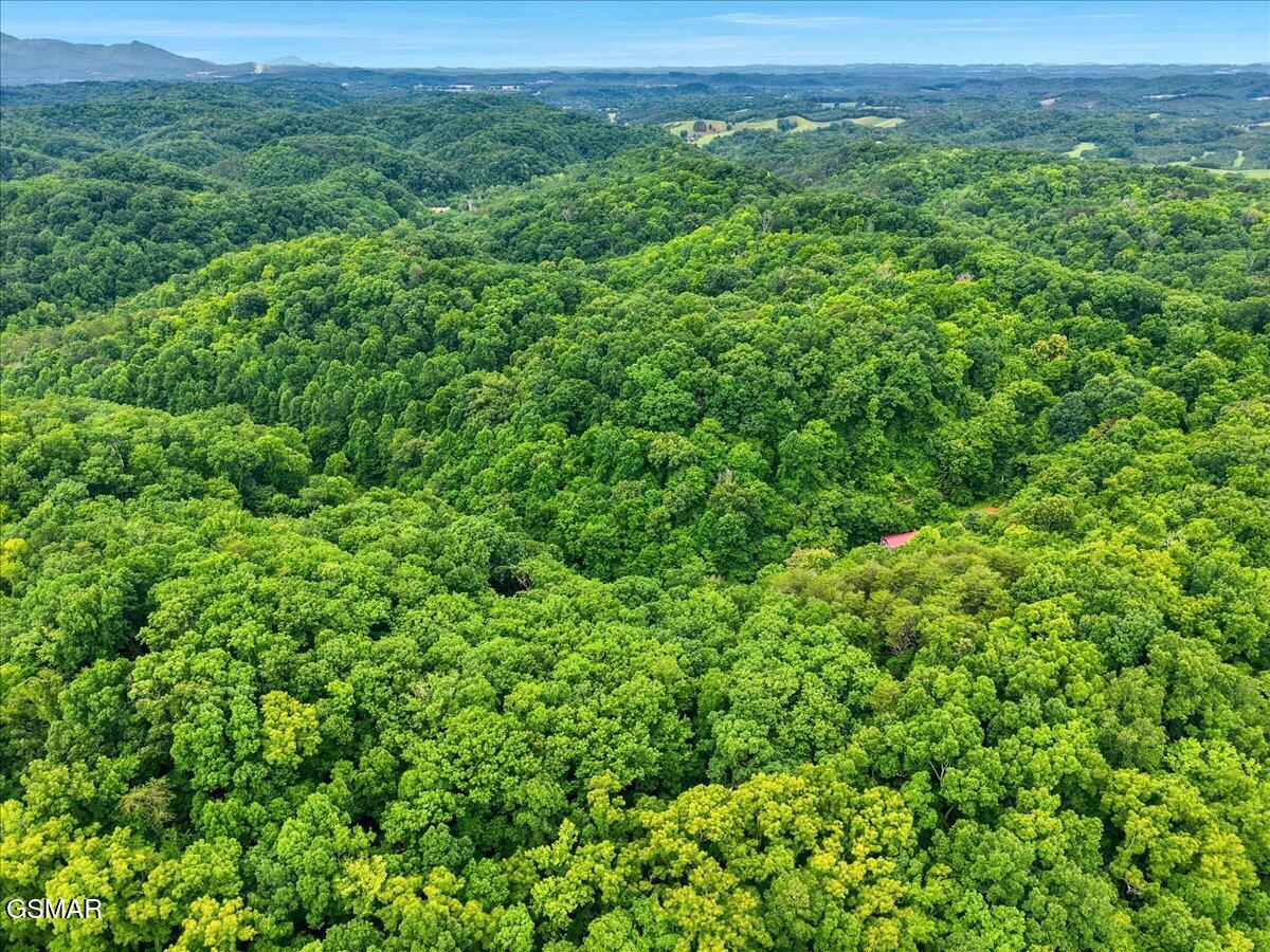 888 Baysinger Road Newport TN 37821