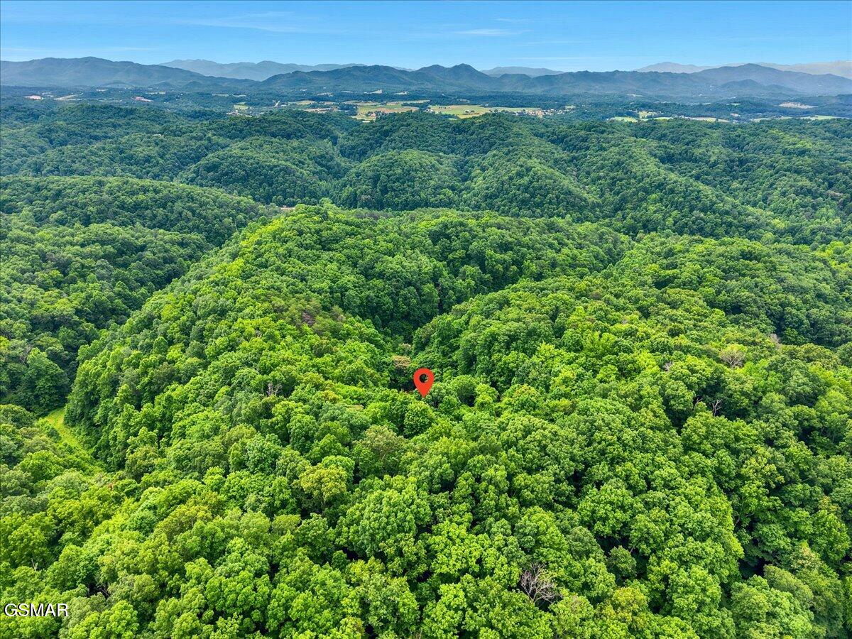 888 Baysinger Road Newport TN 37821
