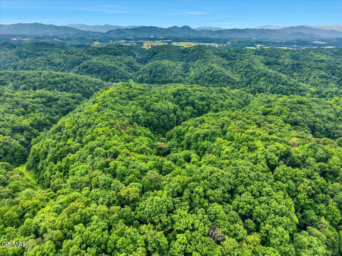 888 Baysinger Road Newport TN 37821