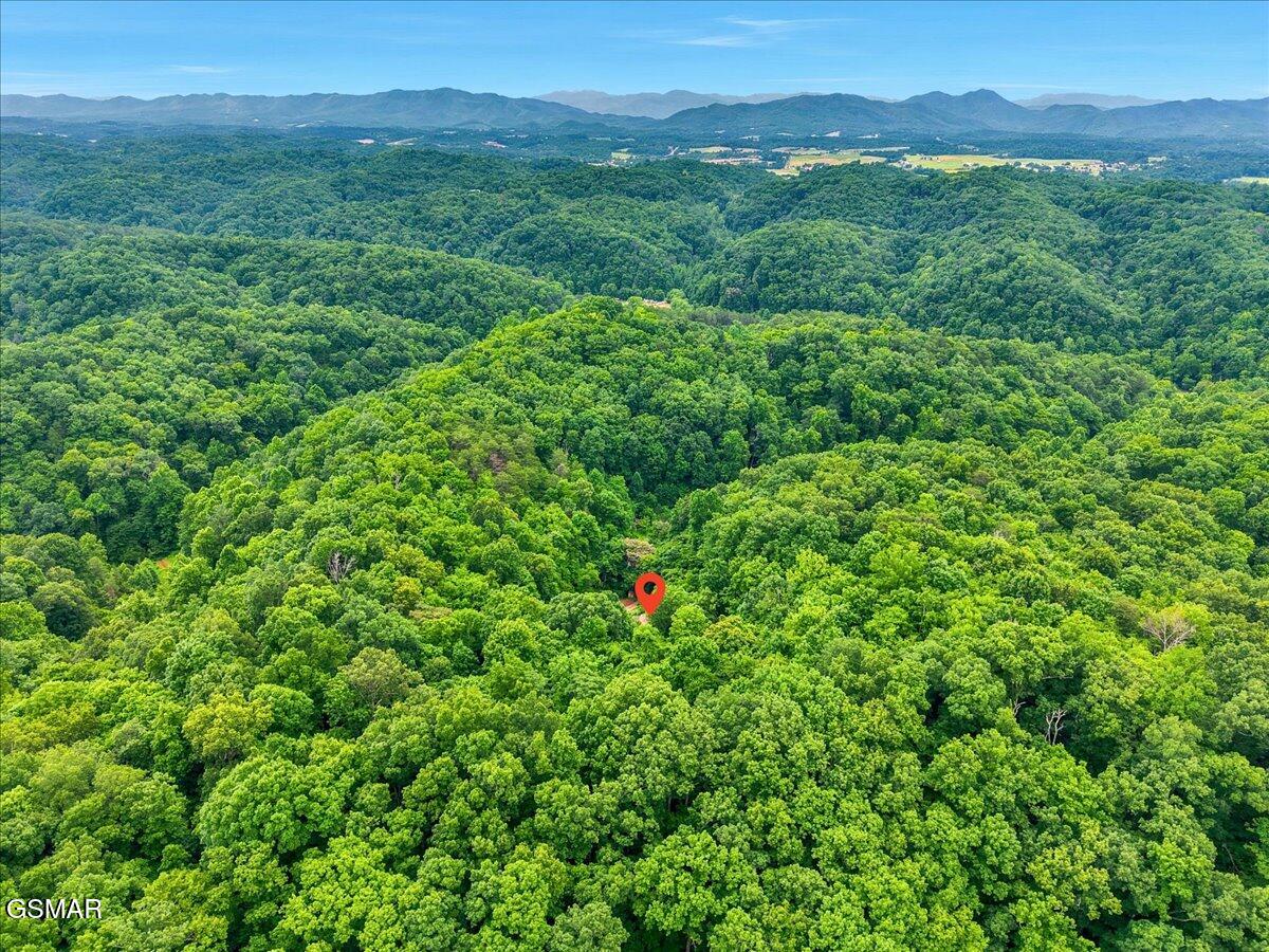 888 Baysinger Road Newport TN 37821
