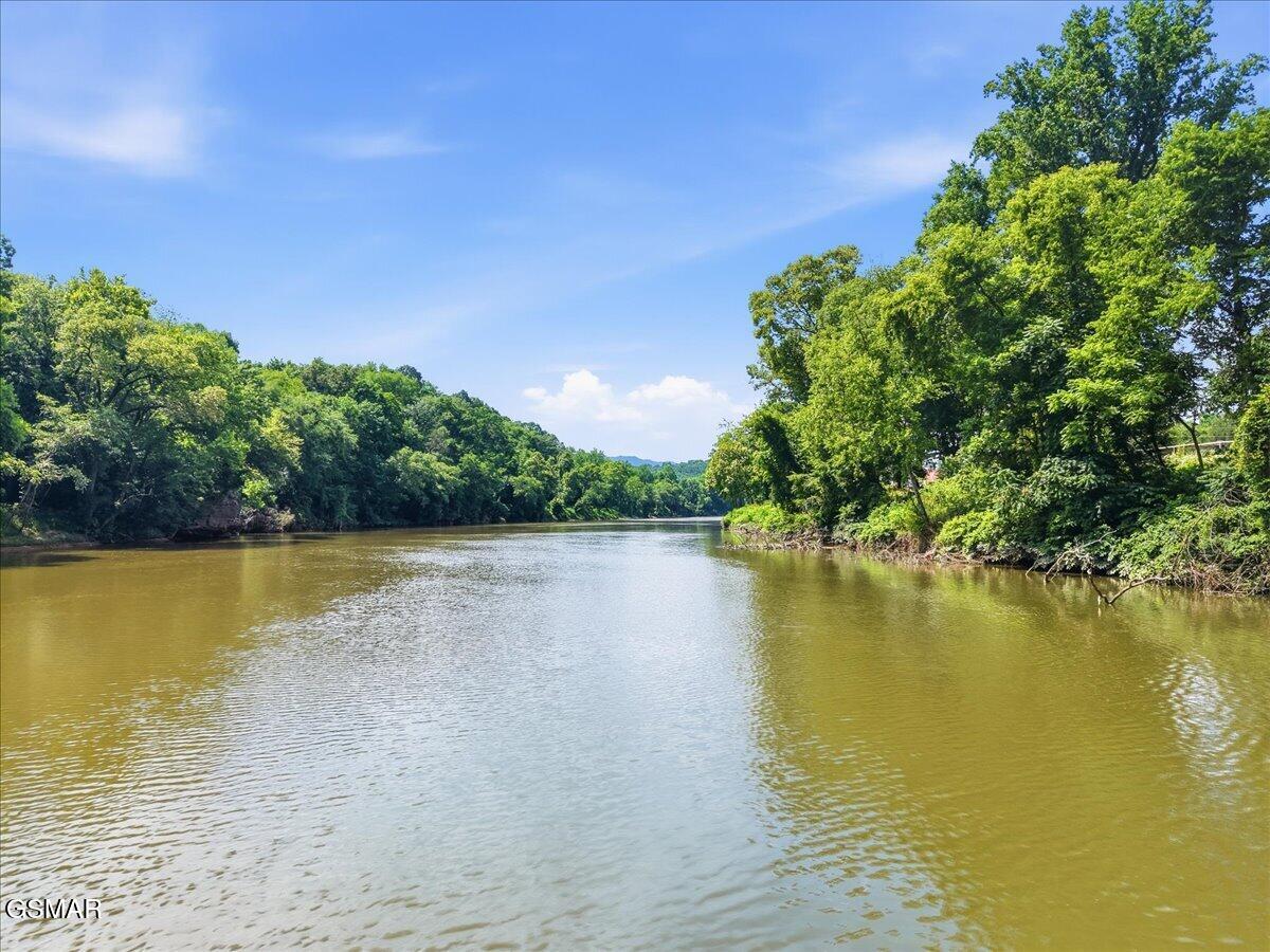 1485 River Chase Way Newport TN 37821