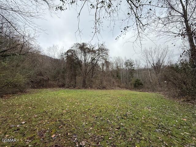 3059 Bogard Road Cosby TN 37722