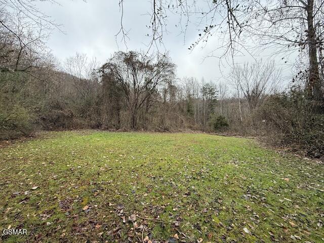 3059 Bogard Road Cosby TN 37722