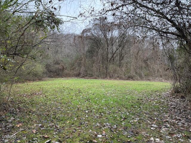 3059 Bogard Road Cosby TN 37722