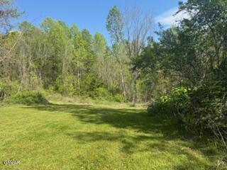 3059 Bogard Road Cosby TN 37722