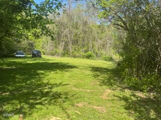 3059 Bogard Road Cosby TN 37722