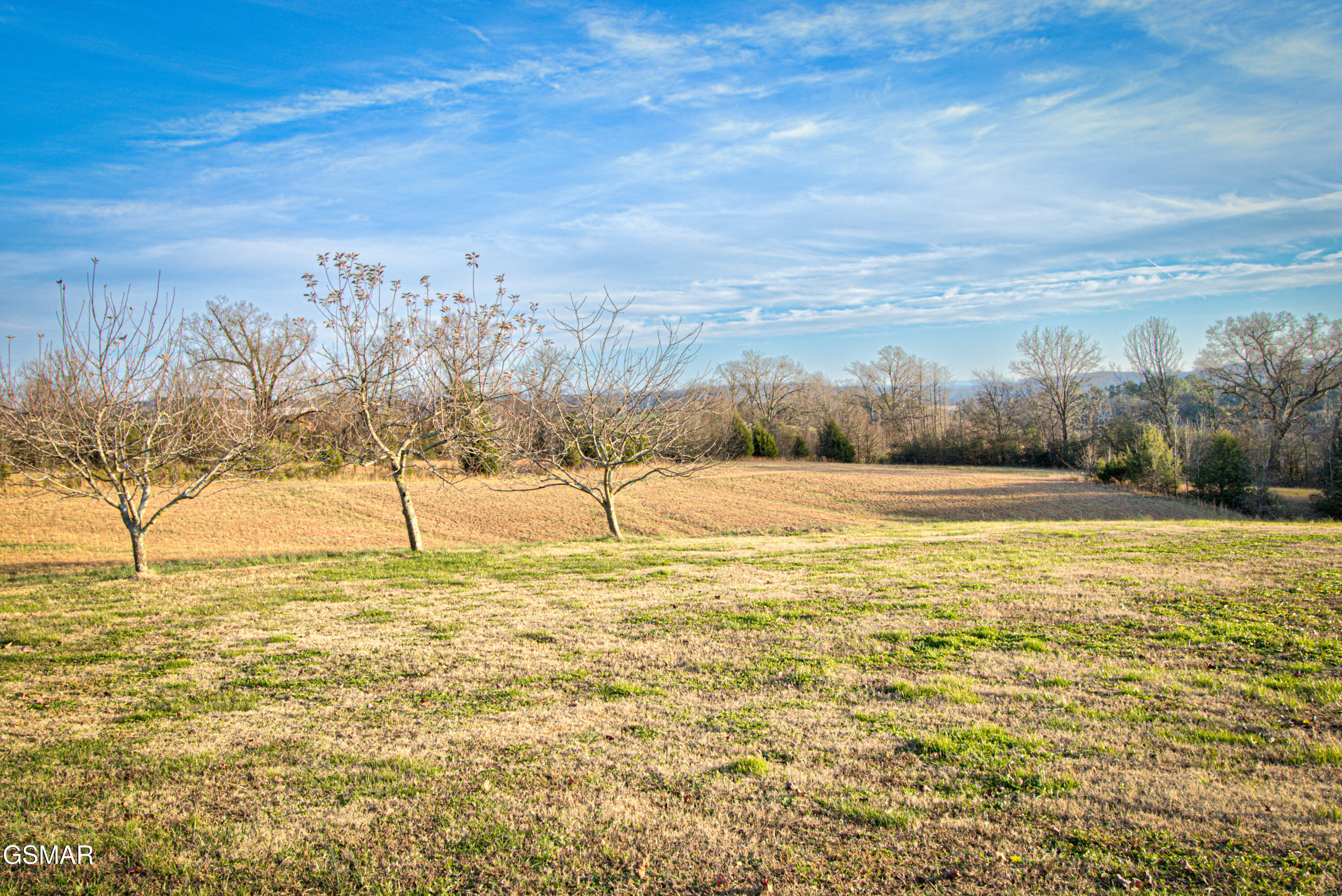 500 Allison Town Road Philadelphia TN 37846