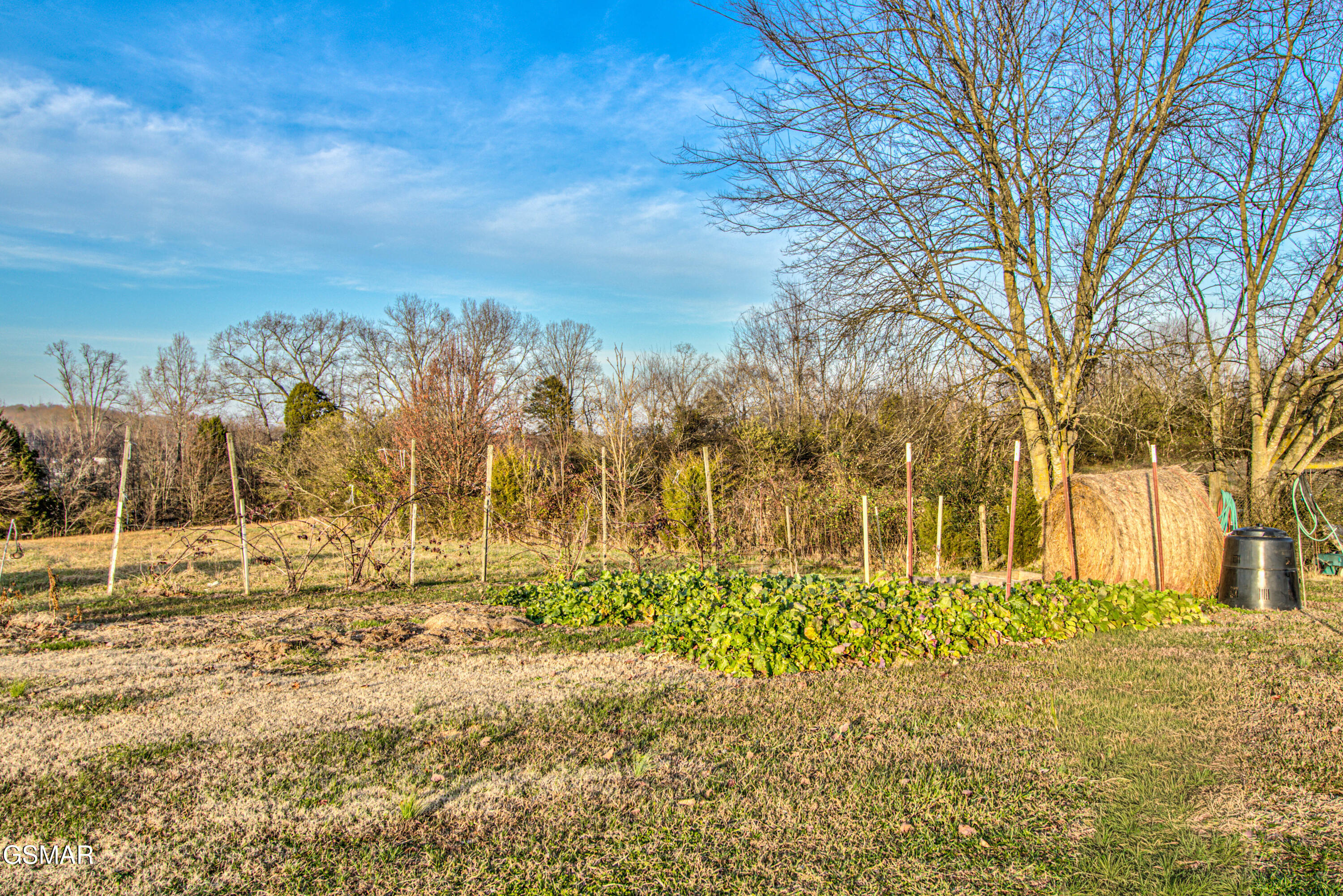 500 Allison Town Road Philadelphia TN 37846