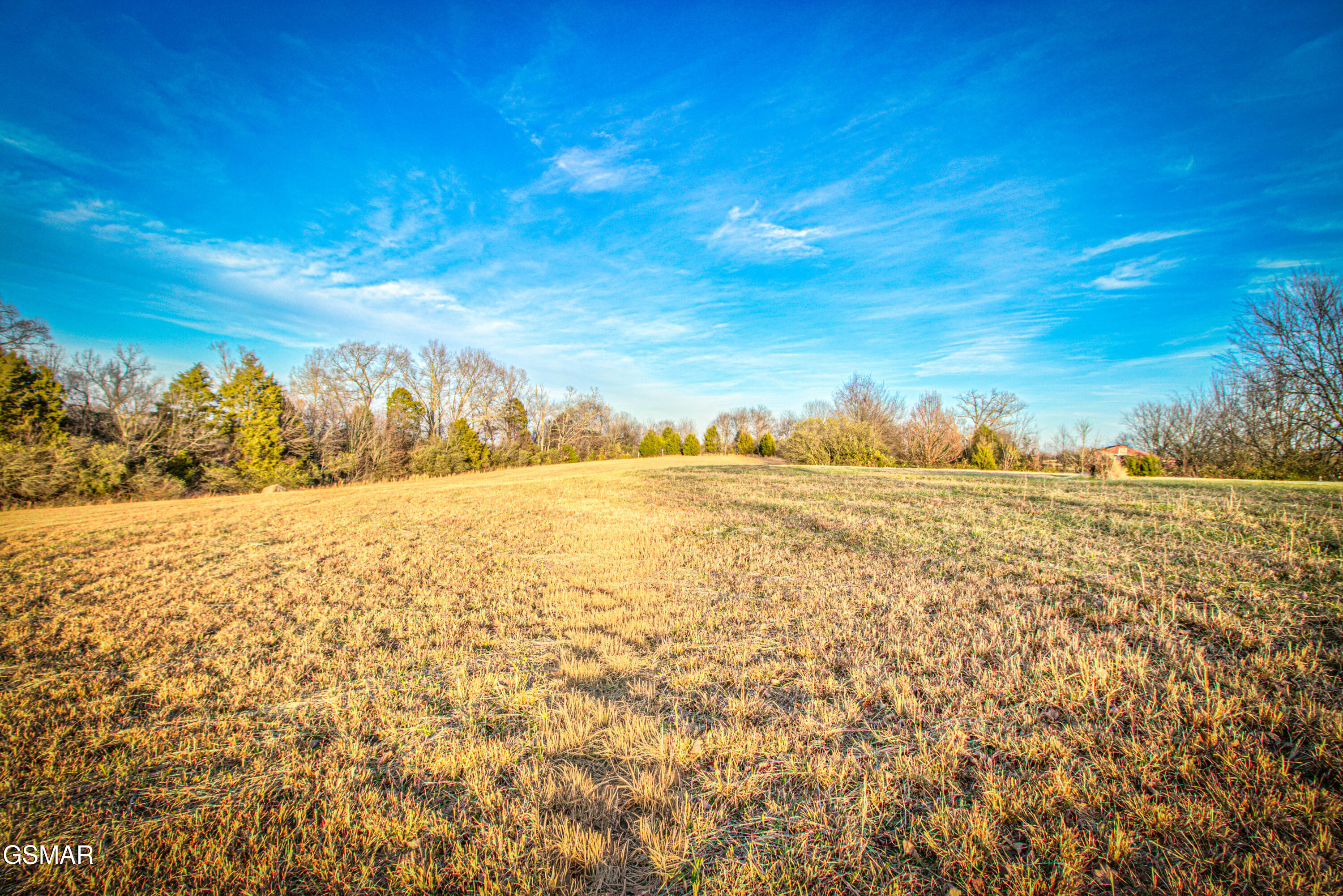 500 Allison Town Road Philadelphia TN 37846