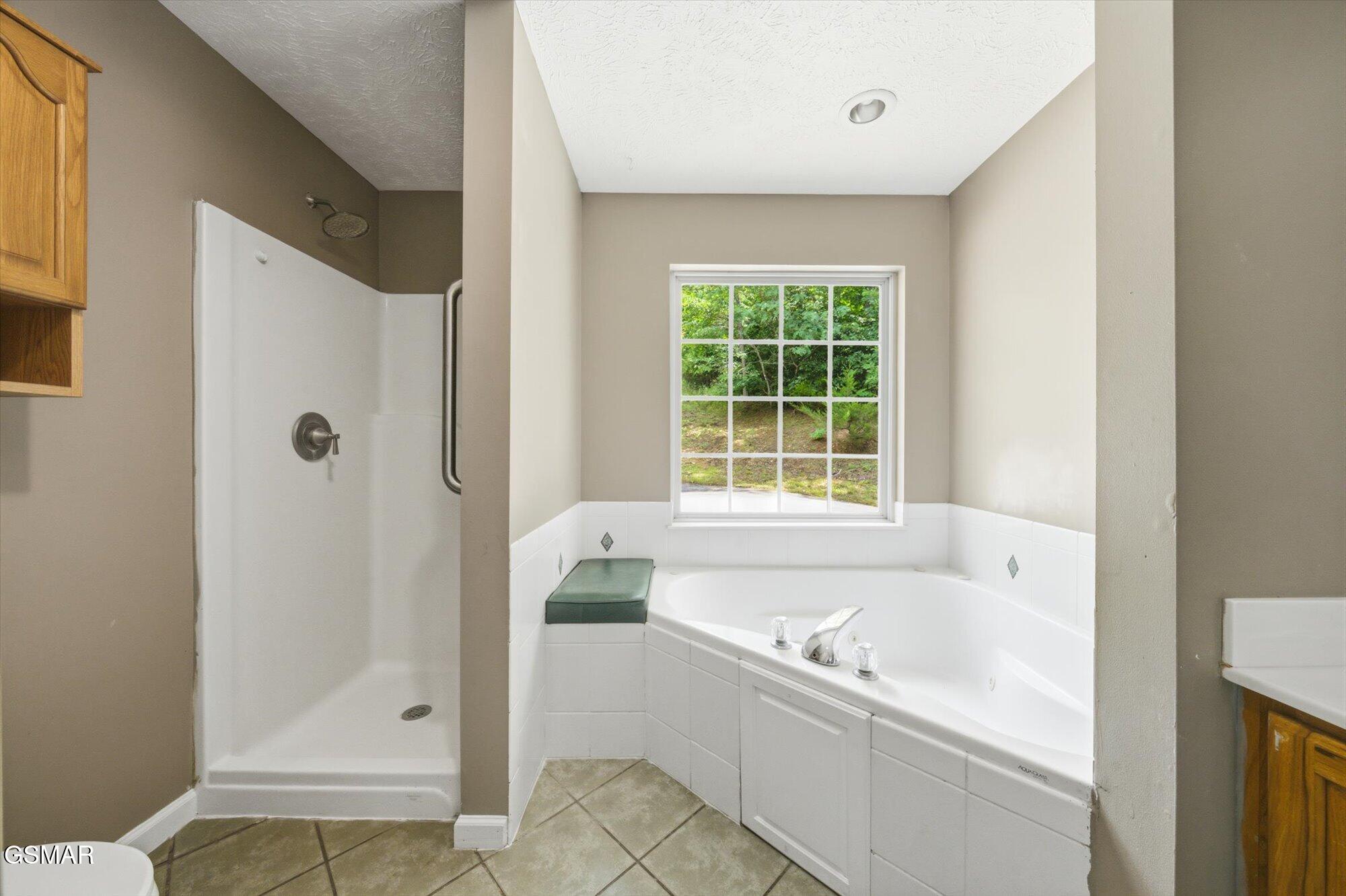 1134 Deer Trail Way Seymour TN 37865