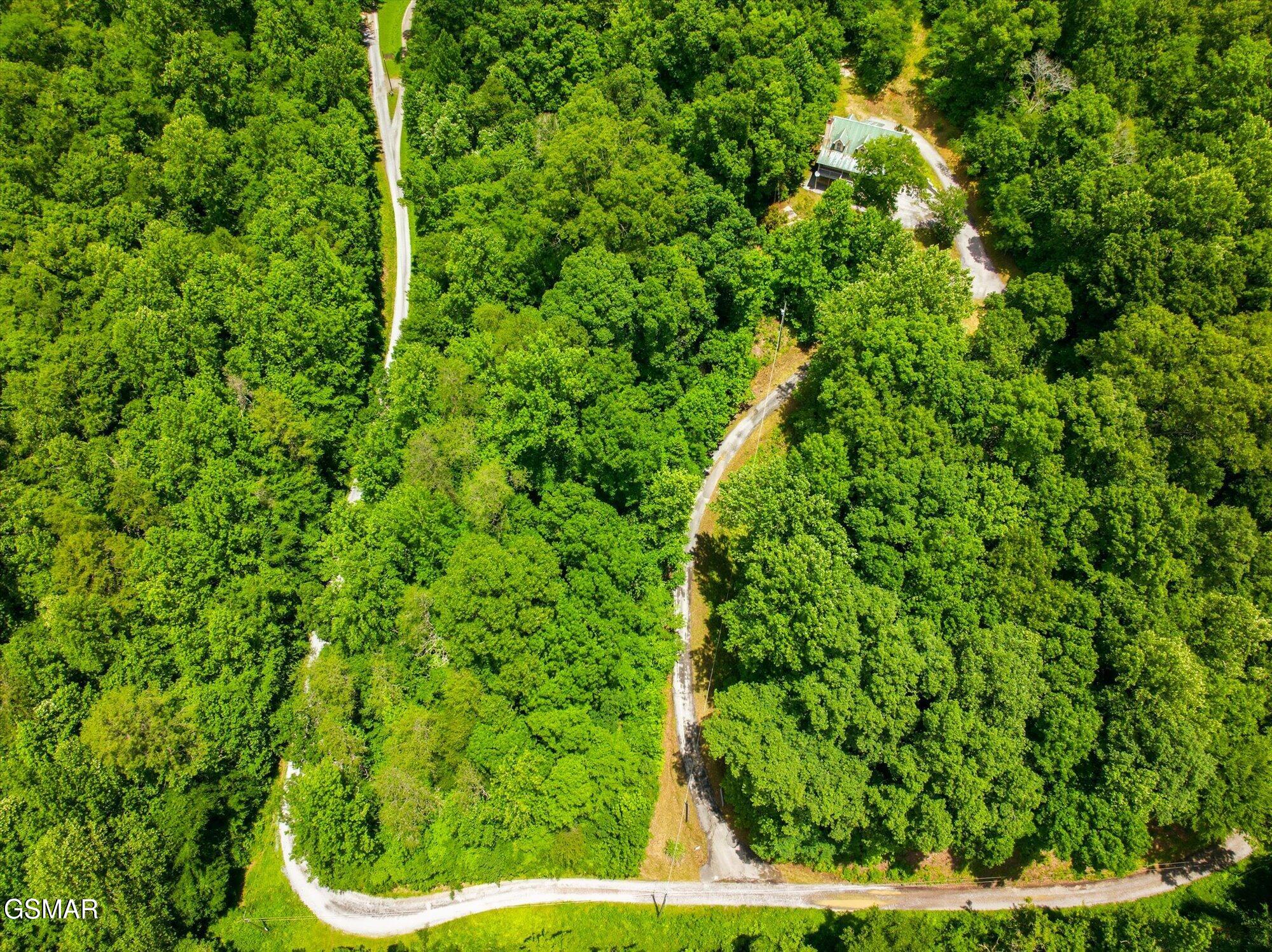 1134 Deer Trail Way Seymour TN 37865