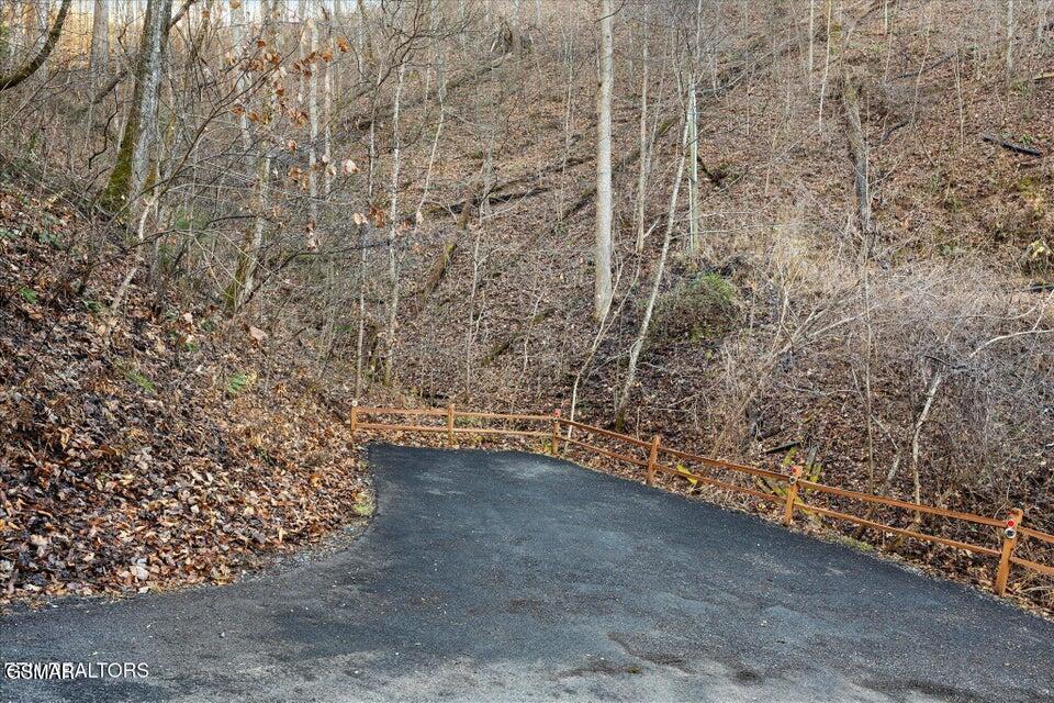 4320 Carolina Cove Way Pigeon Forge TN 37863