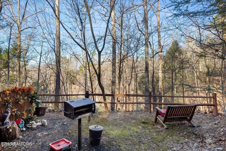 4320 Carolina Cove Way Pigeon Forge TN 37863