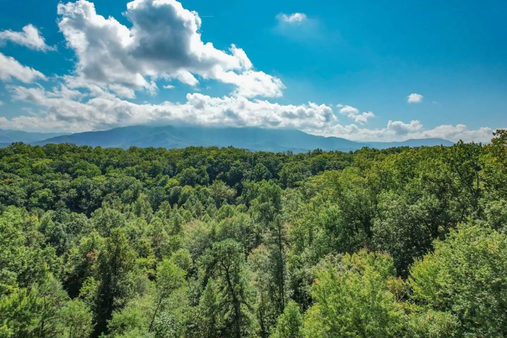 2029 Settlers Ridge Way Sevierville TN 37876