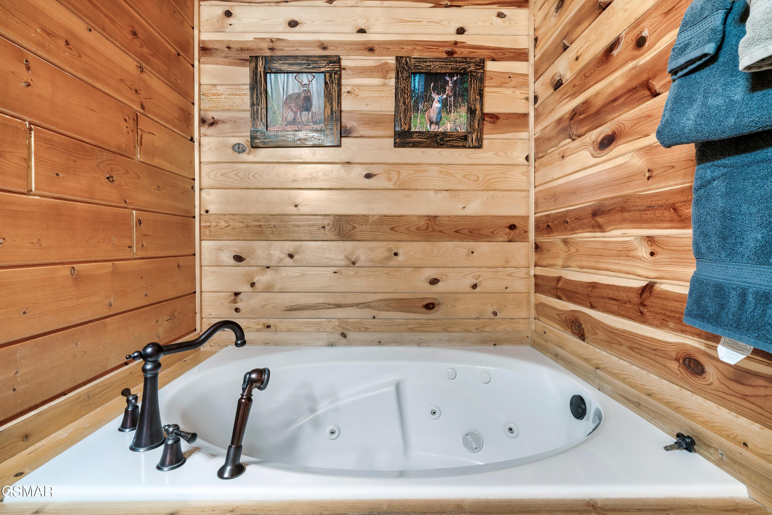 223 Forrest Loop Way Gatlinburg TN 37738