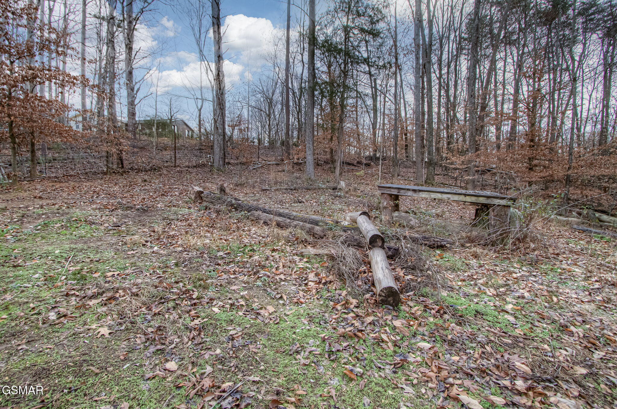 3875 Poplar Lane Kodak TN 37764