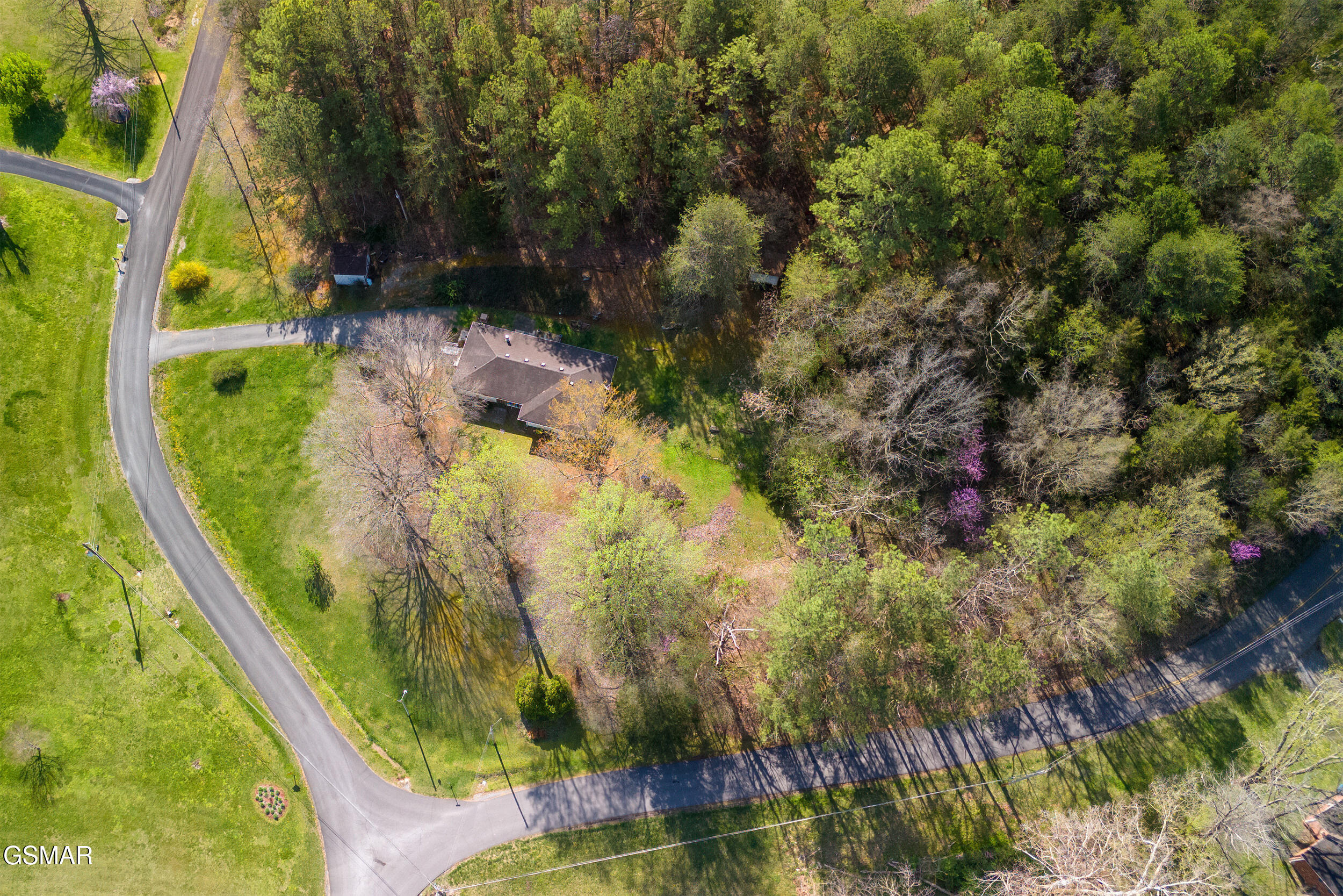 113 East Drive Parrottsville TN 37843