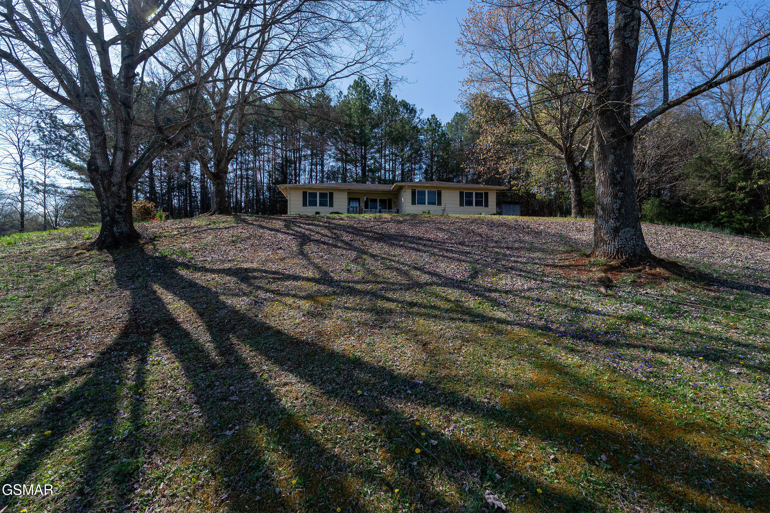 113 East Drive Parrottsville TN 37843