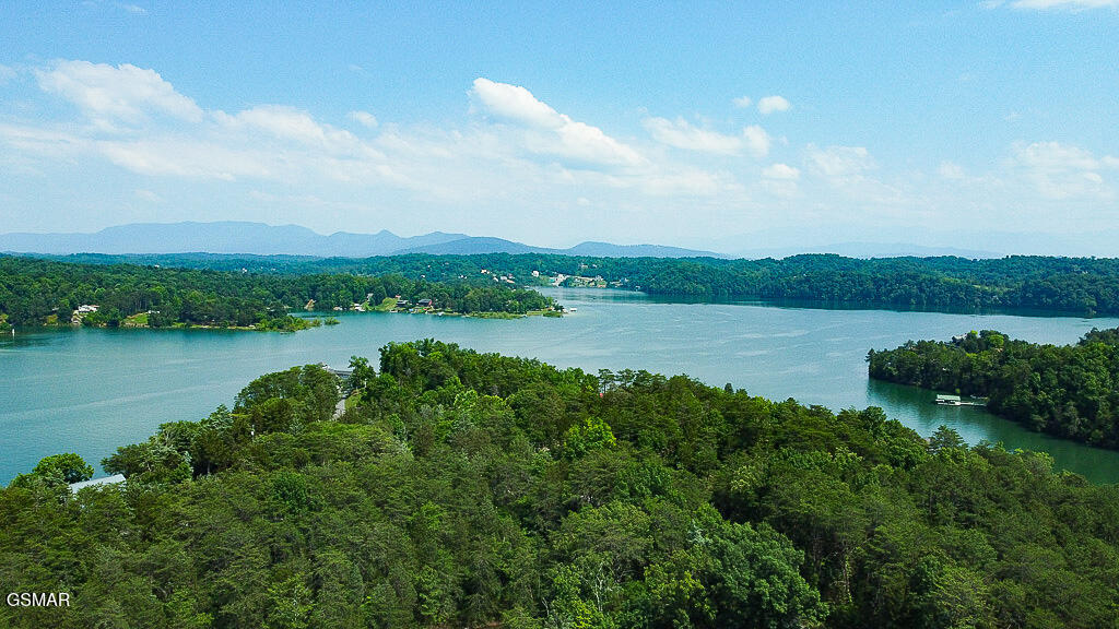 1949 Redbud Vw Road Sevierville TN 37876