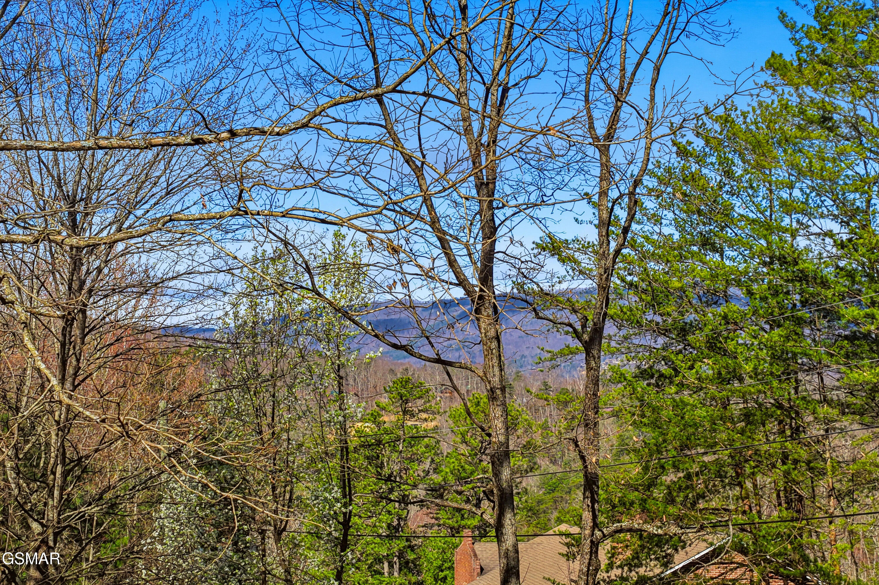 2206 Castle Rise Way Sevierville TN 37862