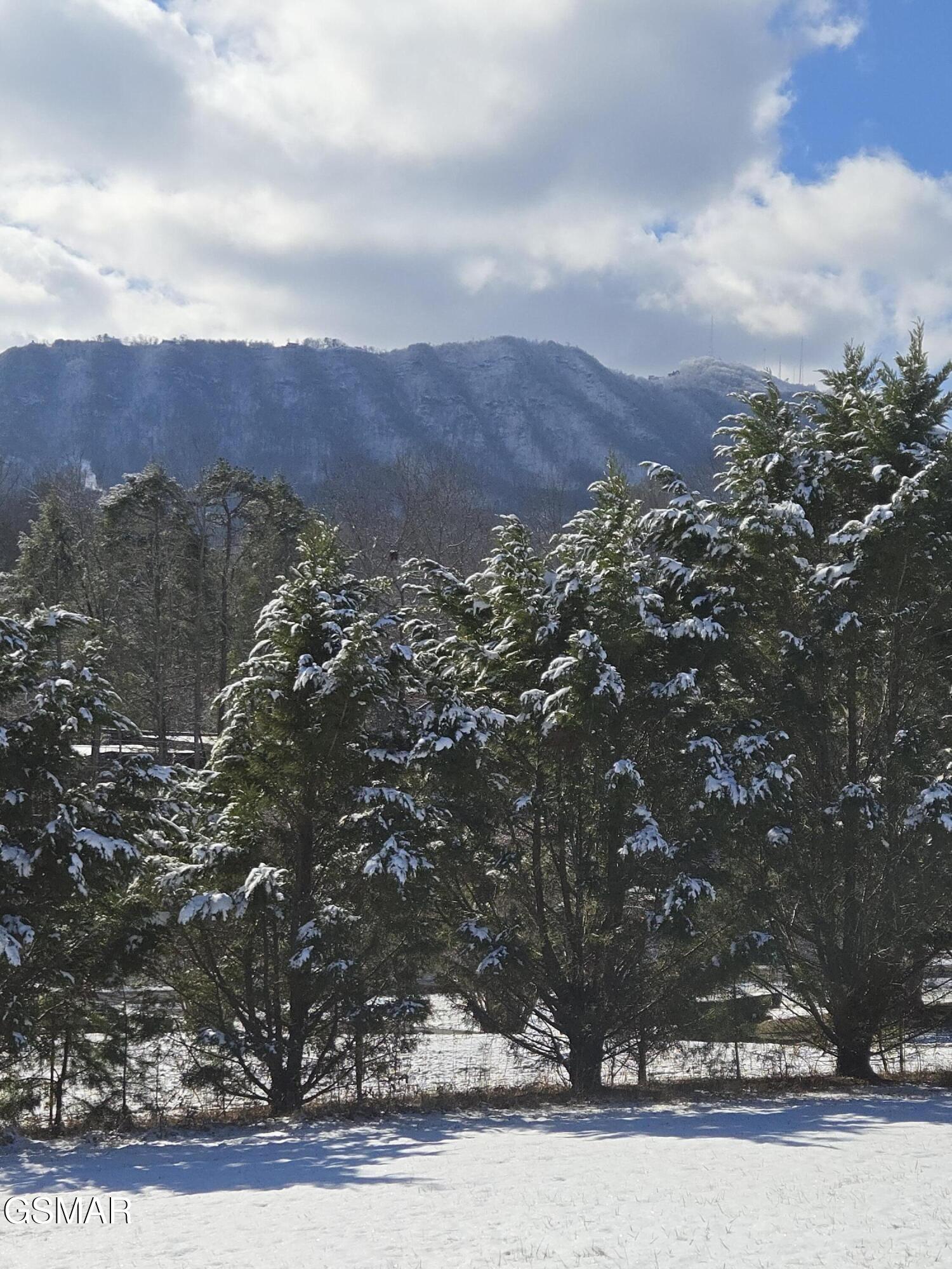 1220 Sugar Loaf Road Sevierville TN 37876