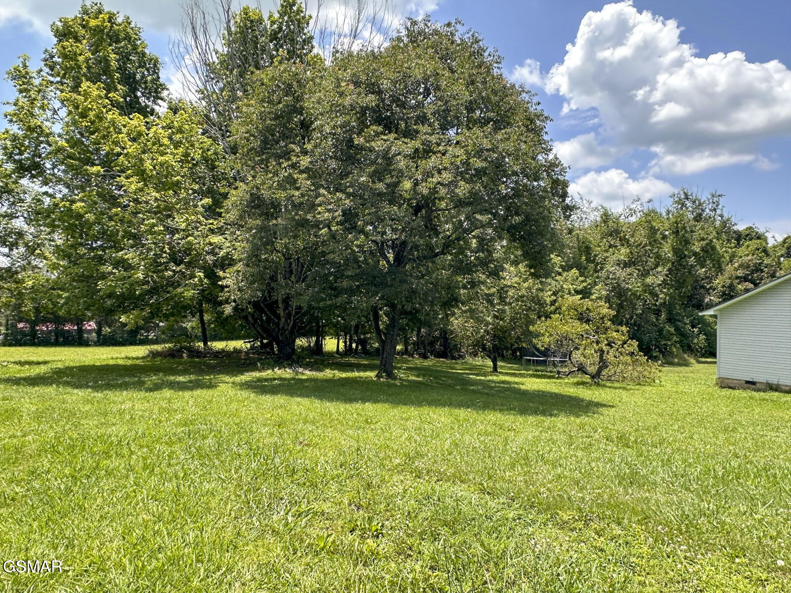 2105 Walnut Street White Pine TN 37890