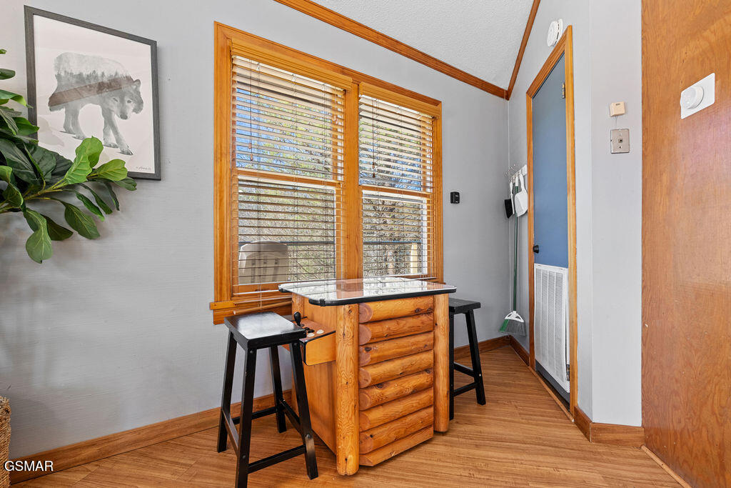 3709 Eagle Lane Gatlinburg TN 37738