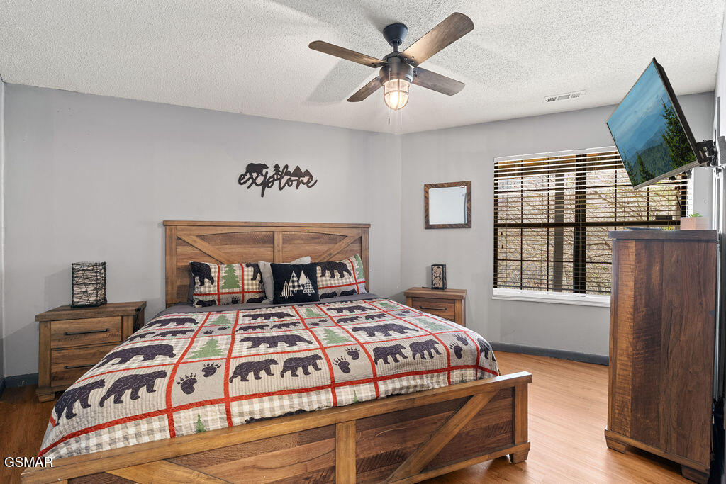 3709 Eagle Lane Gatlinburg TN 37738