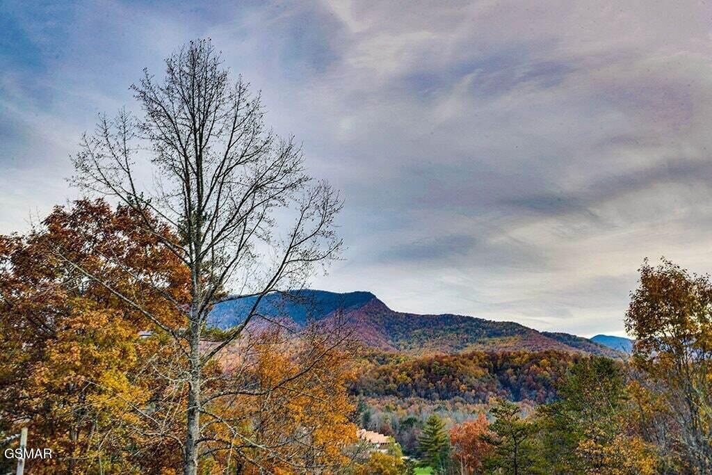 3709 Eagle Lane Gatlinburg TN 37738