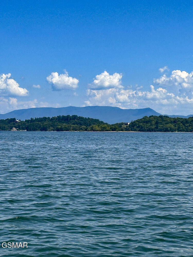 1964 Harbor Hills Drive Dandridge TN 37725