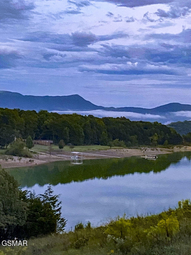 1964 Harbor Hills Drive Dandridge TN 37725