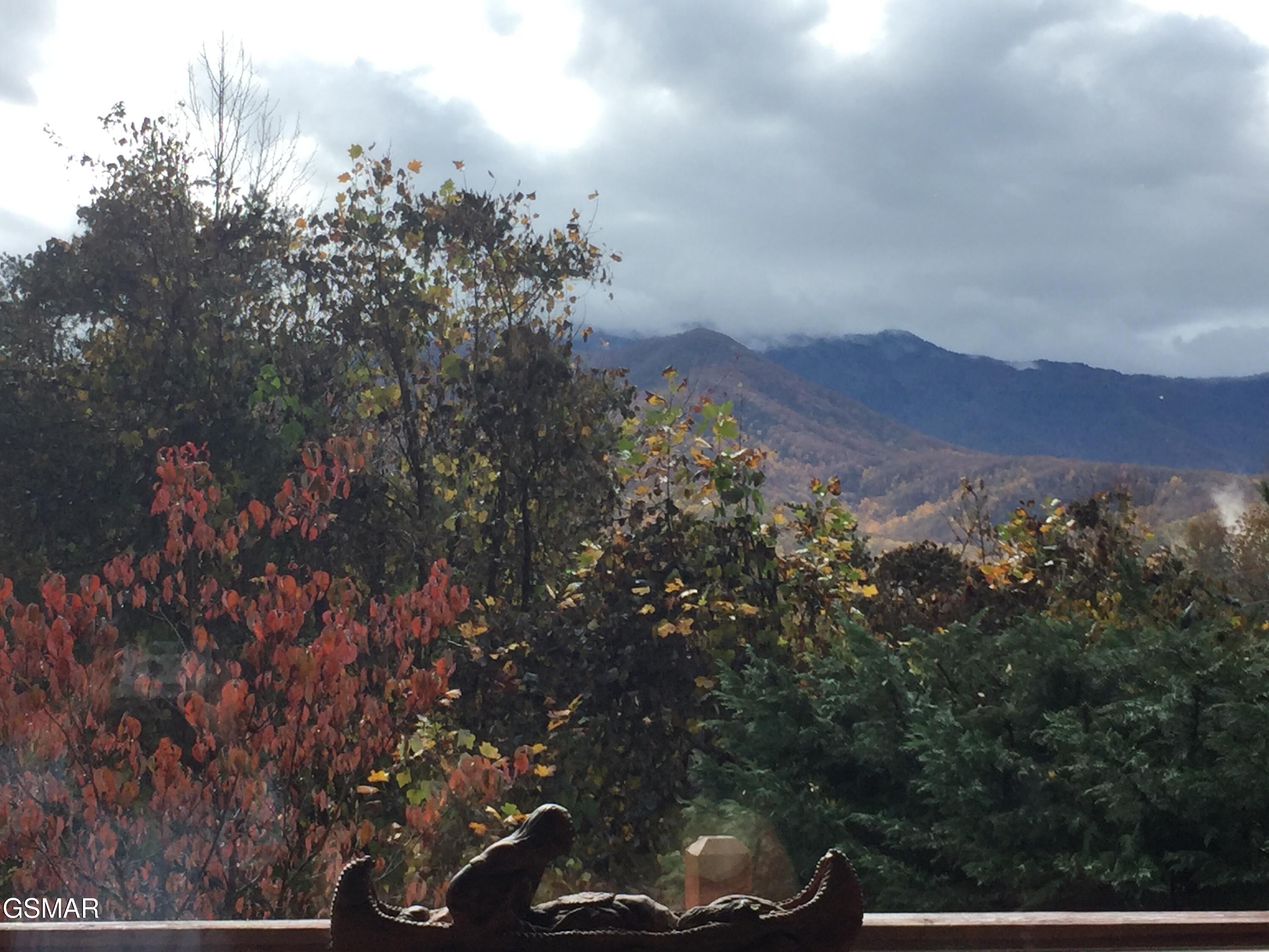 1716 Smoky Hills Drive Gatlinburg TN 37738