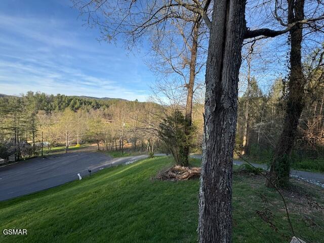 3428 Jason Place Sevierville TN 37876