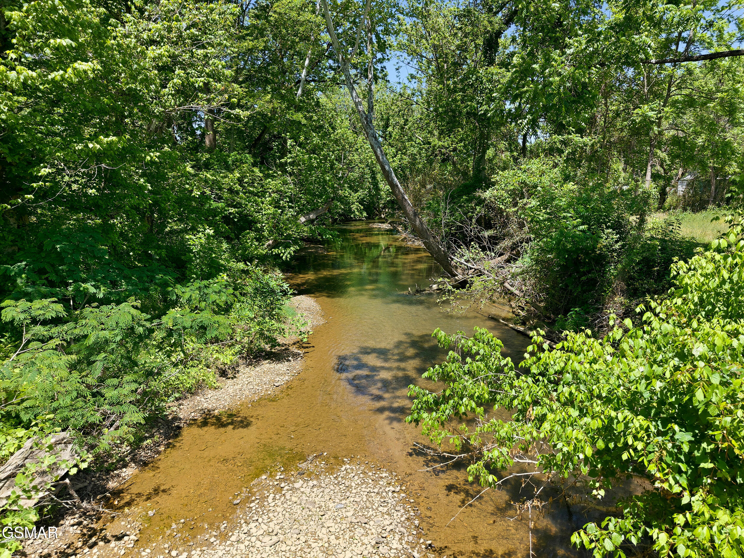 1309 Licklog Hollow Road Sevierville TN 37876