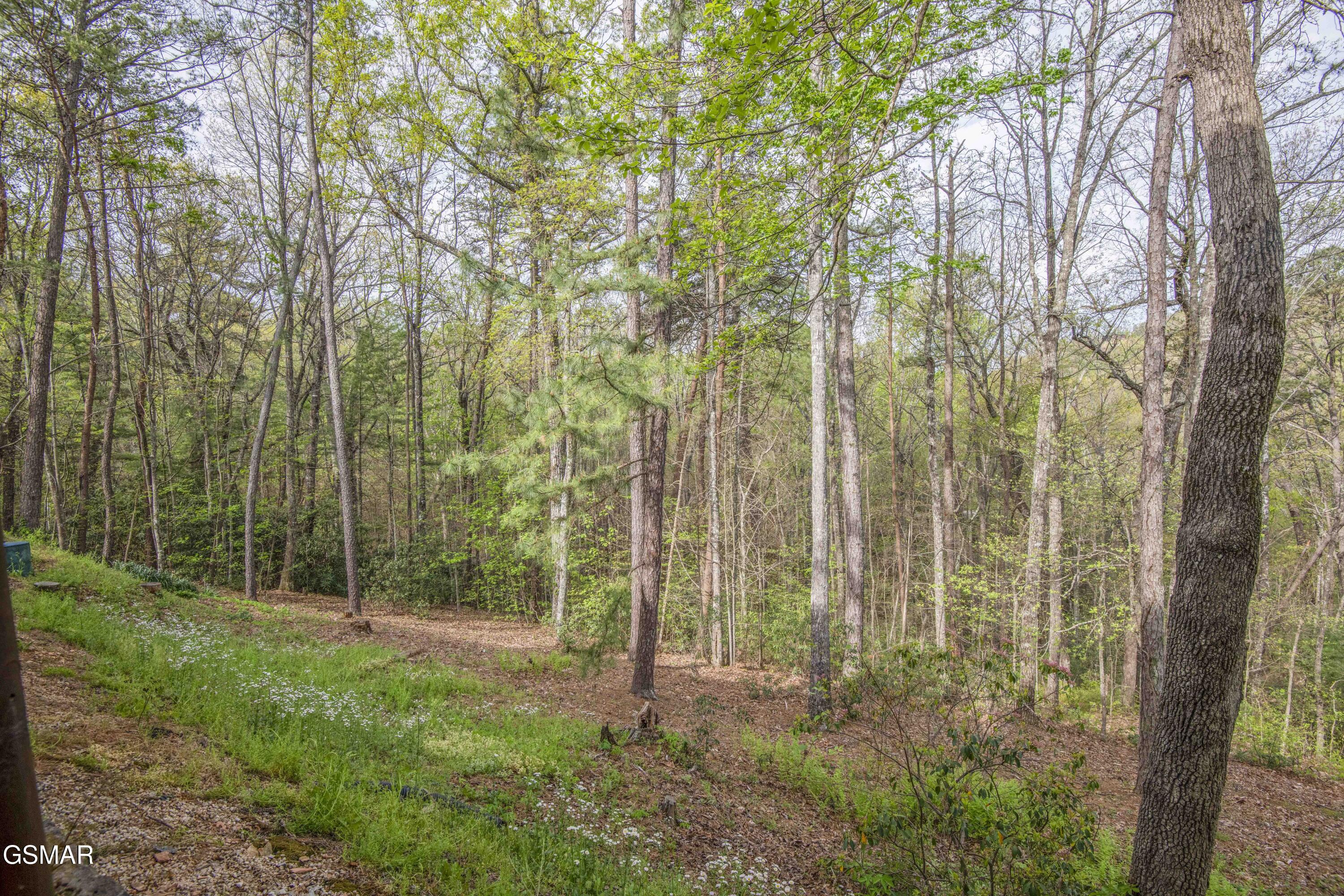 3123 Rocking Chair Lane Sevierville TN 37862