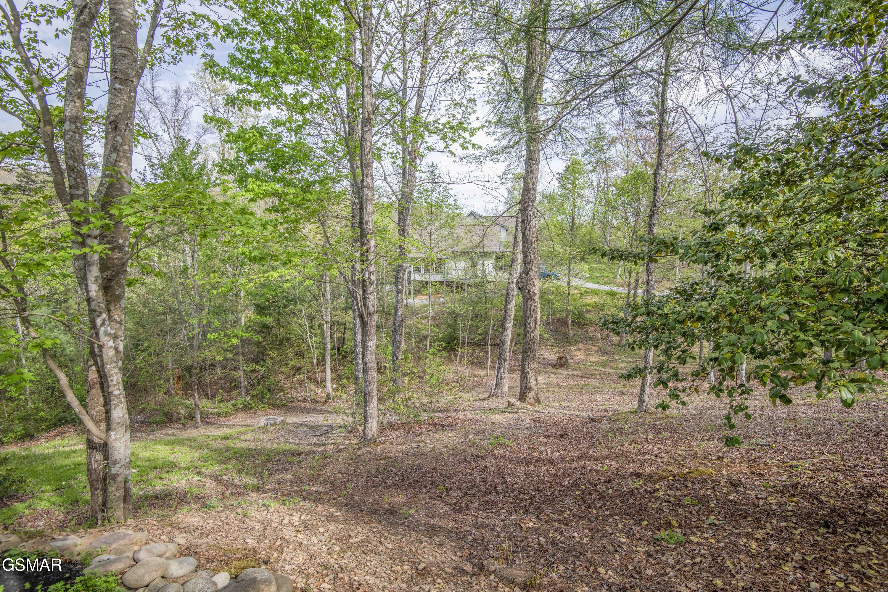 3123 Rocking Chair Lane Sevierville TN 37862