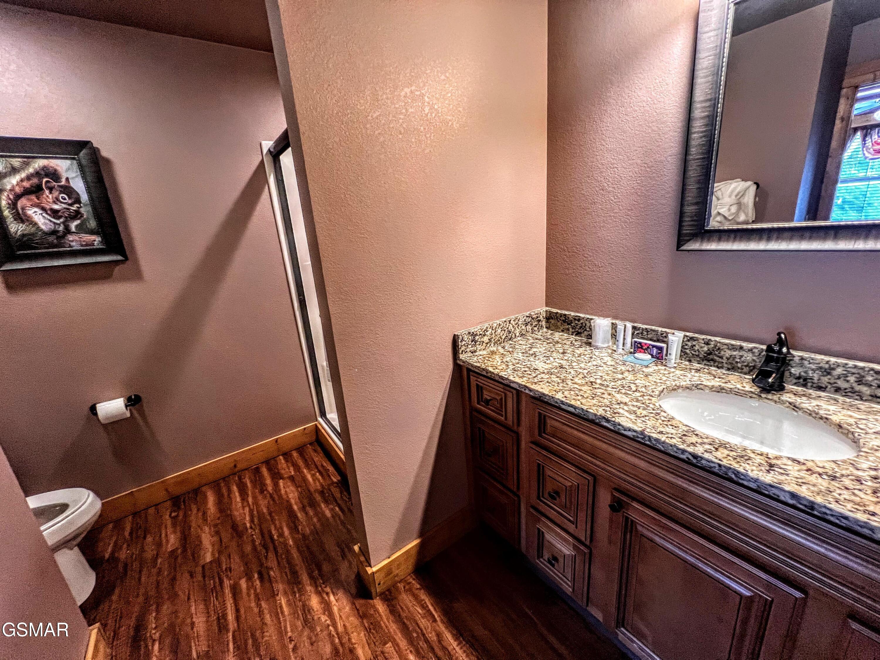 1117 Anastasia Way Gatlinburg TN 37738