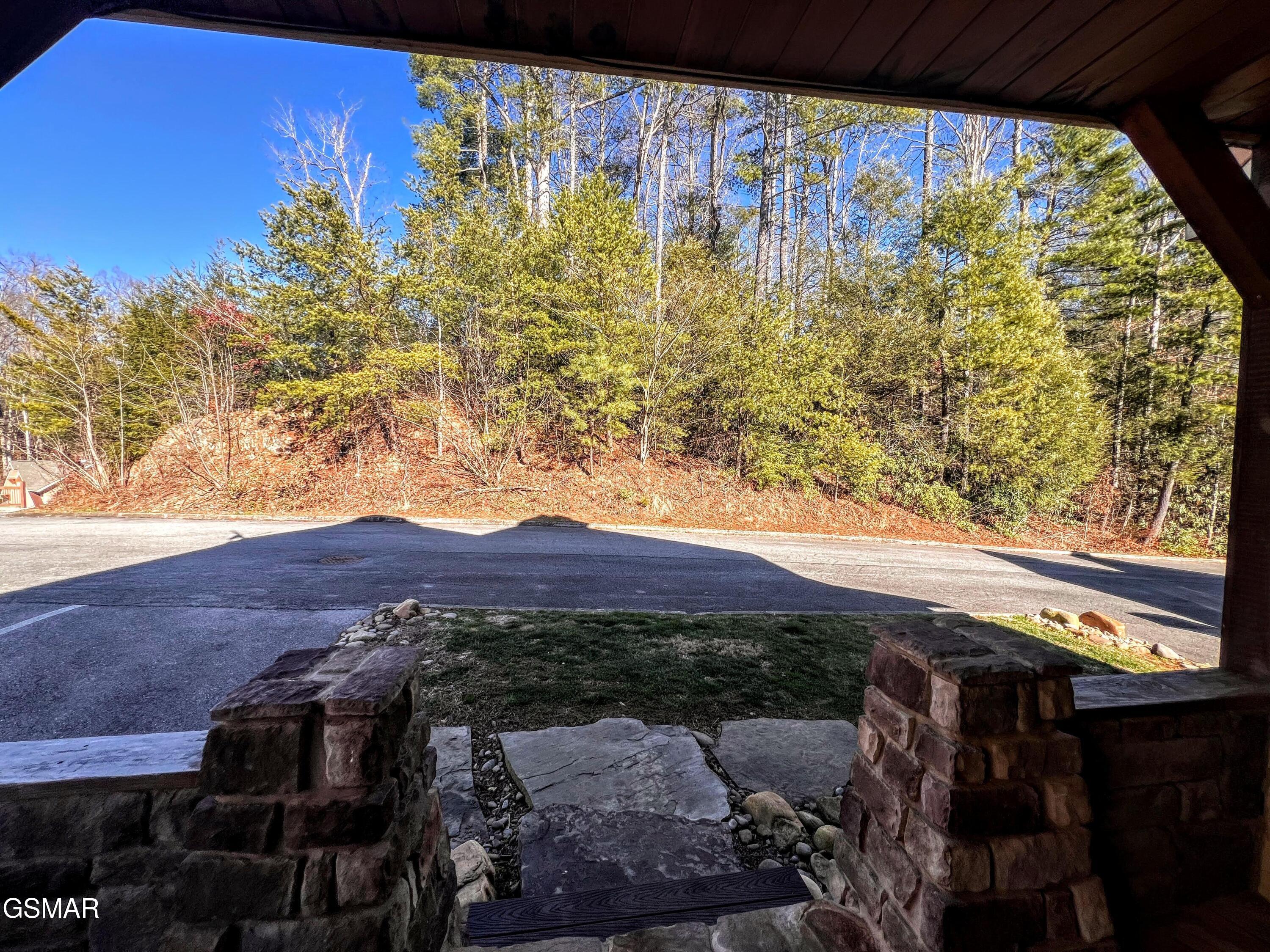 1117 Anastasia Way Gatlinburg TN 37738