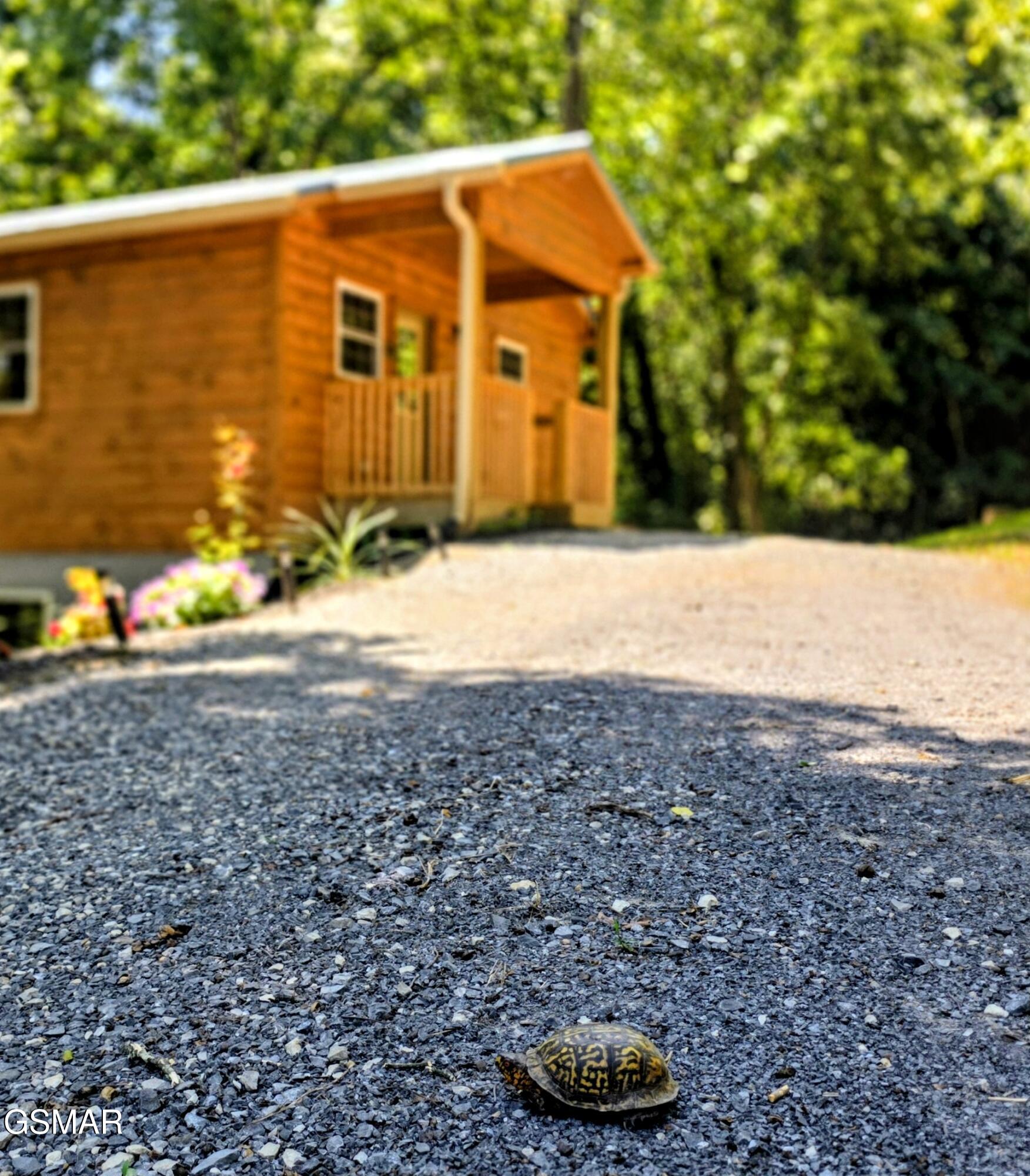 125 Deer Run Way Dandridge TN 37725