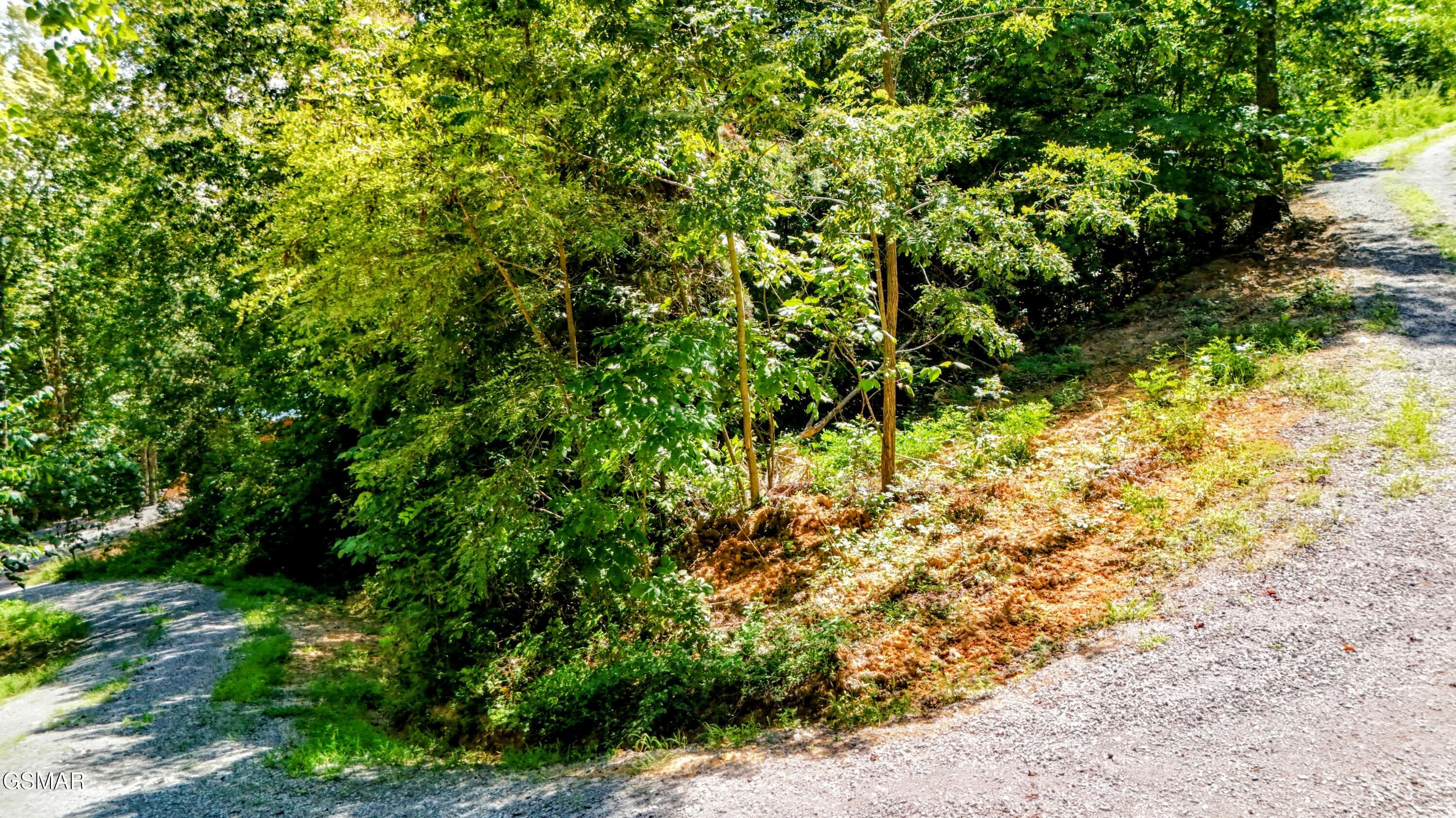 125 Deer Run Way Dandridge TN 37725