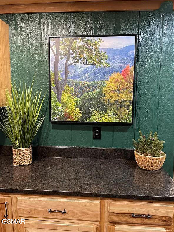 1420 Alpine Drive Sevierville TN 37876