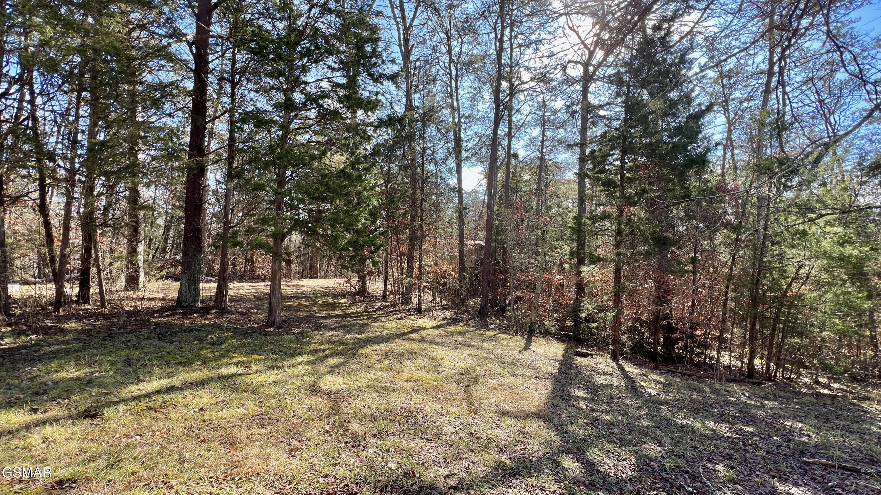 1803 Elkins Road Kodak TN 37764