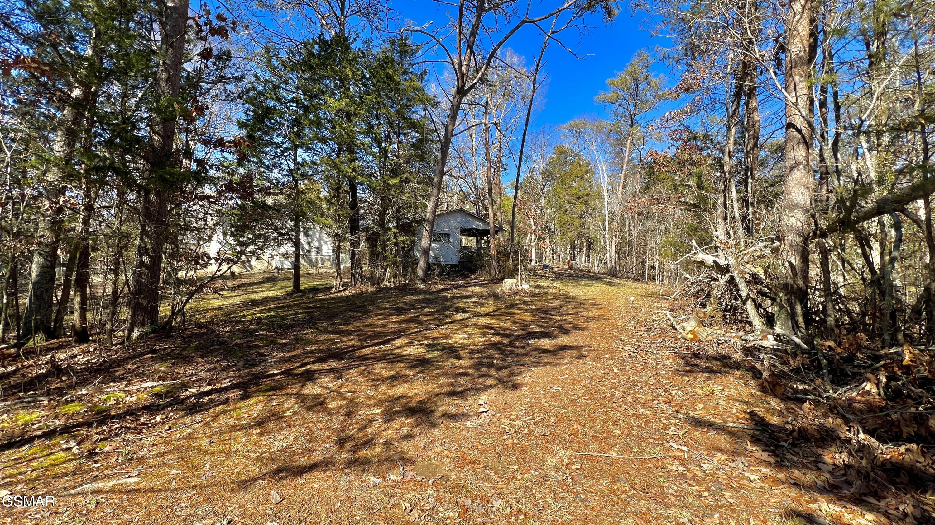 1803 Elkins Road Kodak TN 37764