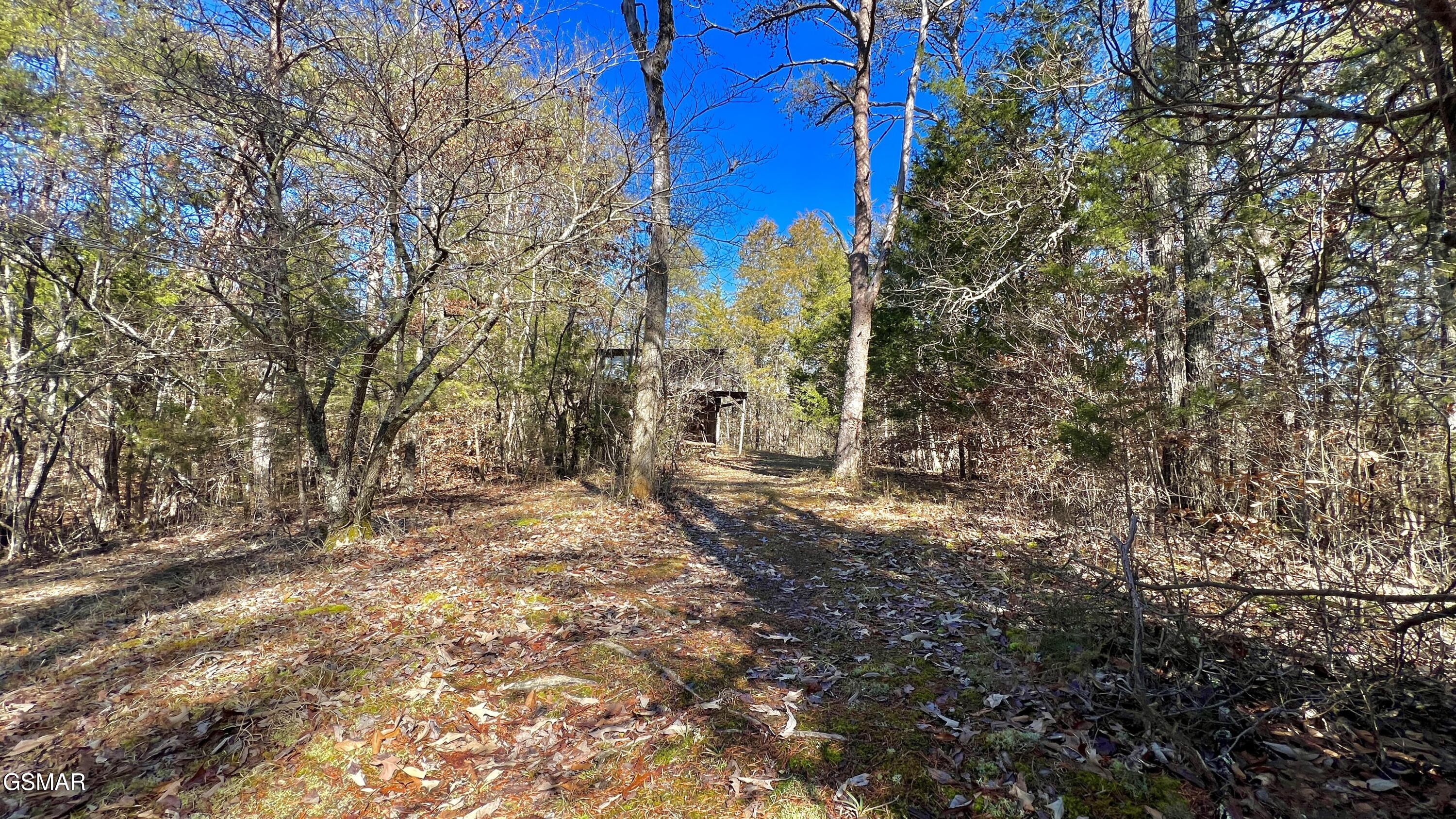 1803 Elkins Road Kodak TN 37764