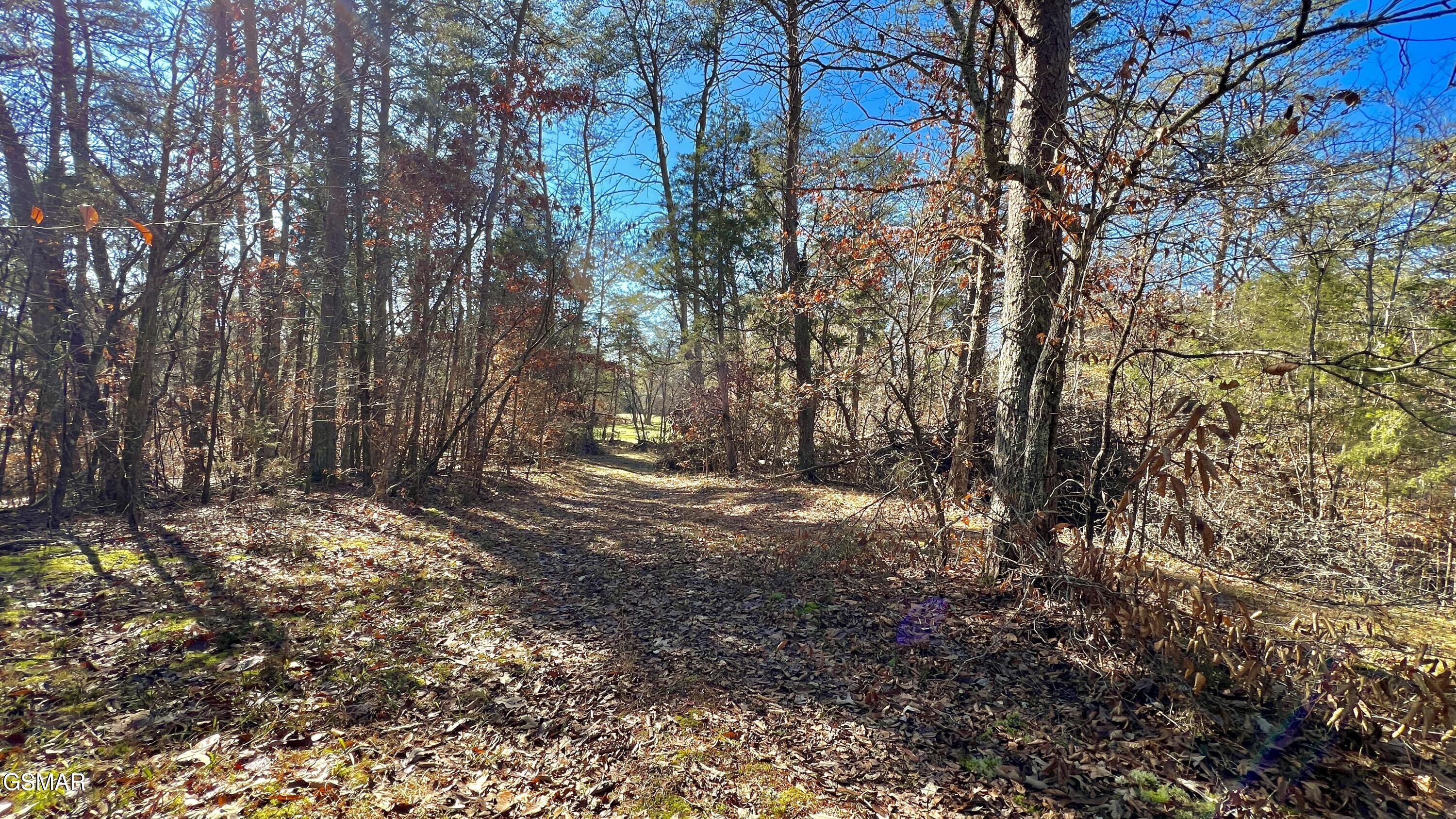 1803 Elkins Road Kodak TN 37764