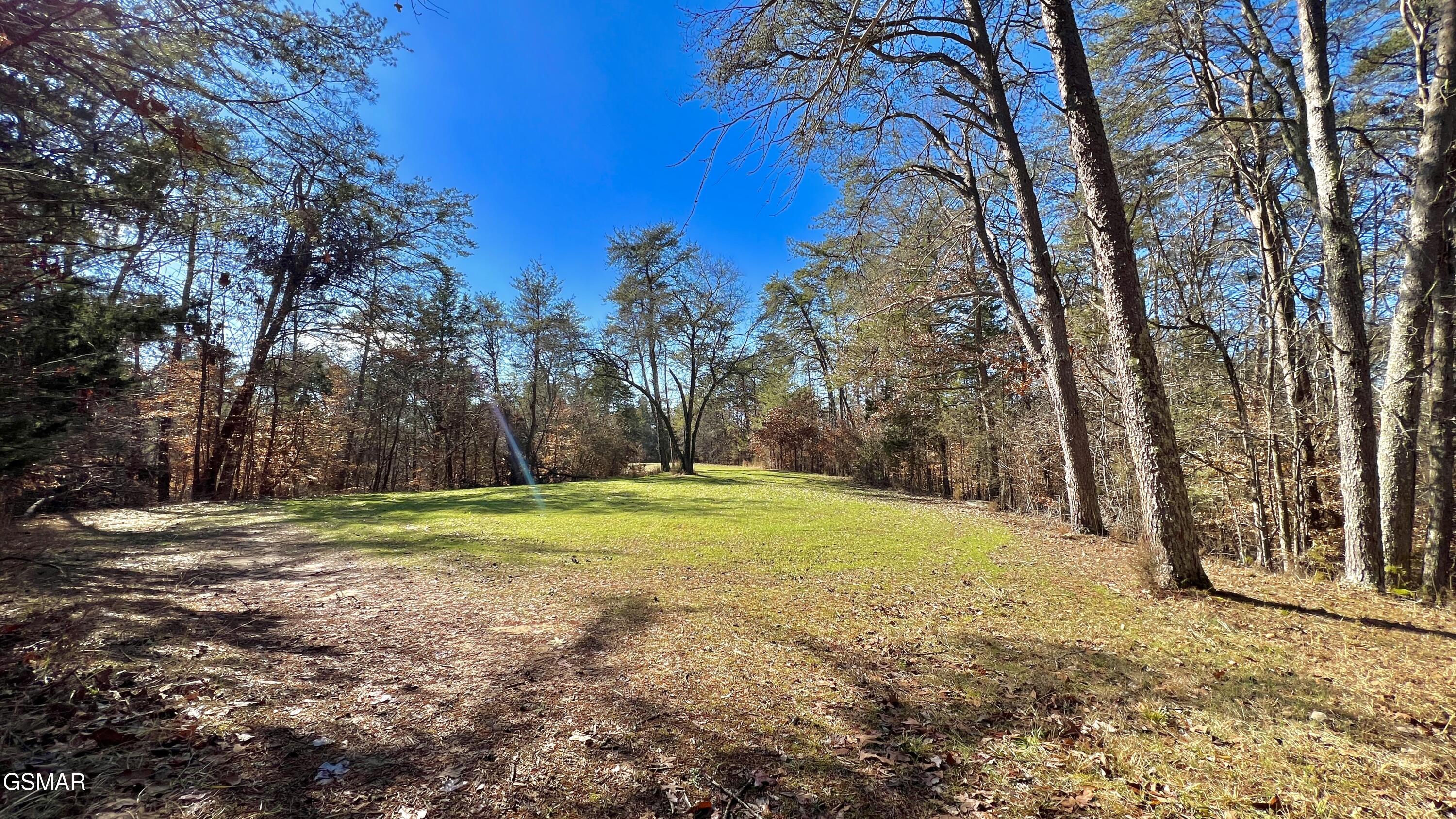 1803 Elkins Road Kodak TN 37764