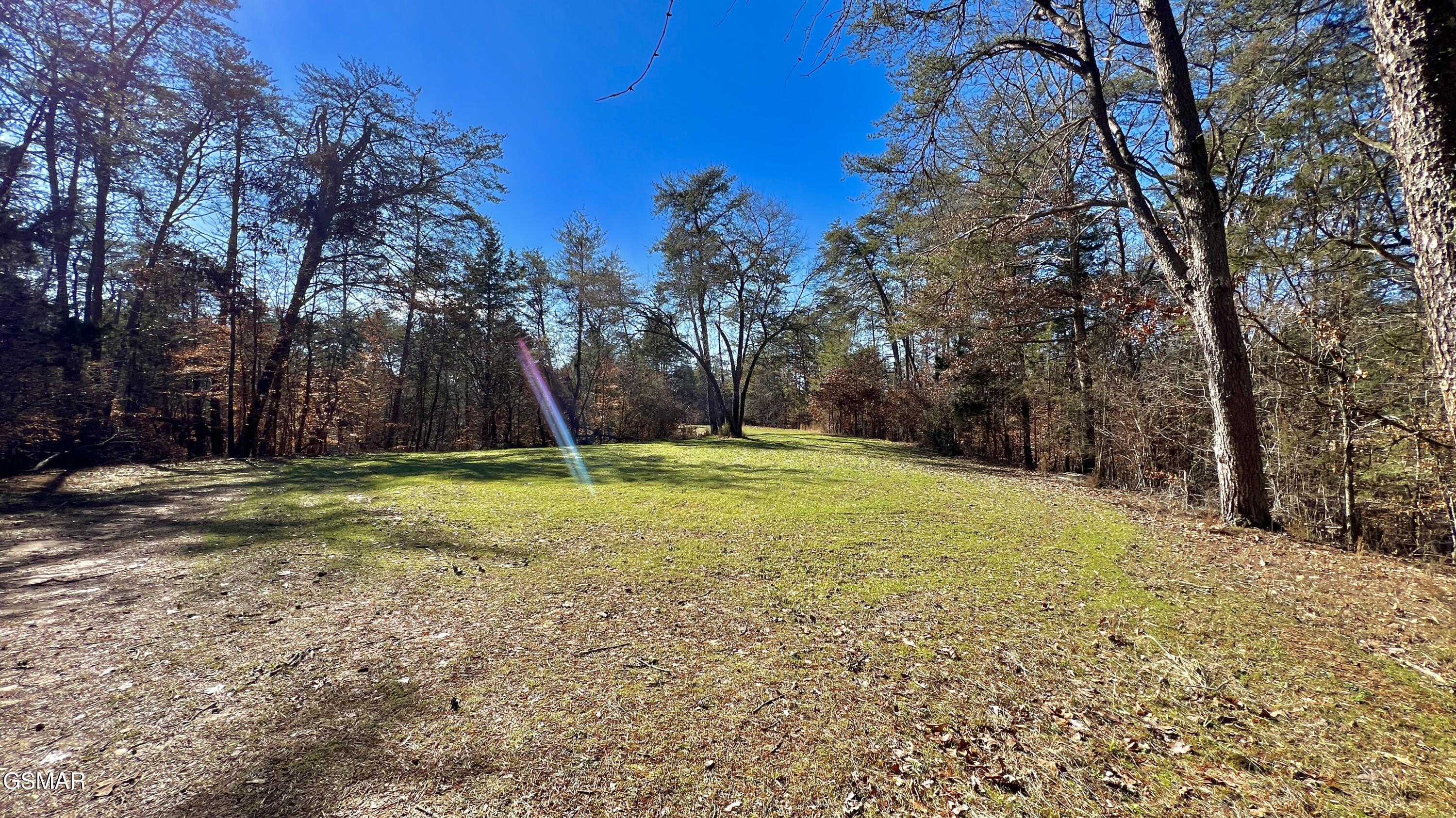 1803 Elkins Road Kodak TN 37764