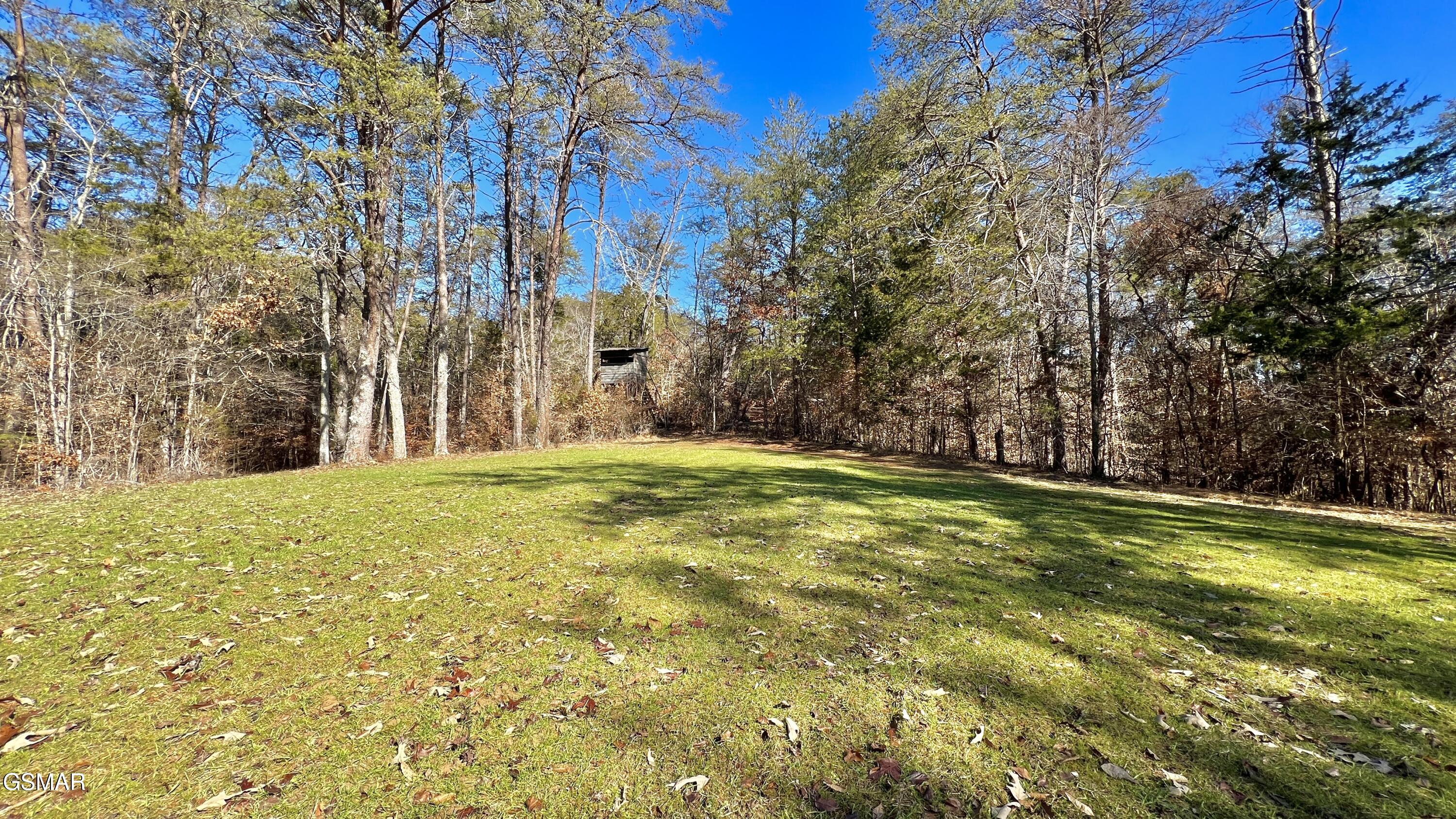 1803 Elkins Road Kodak TN 37764