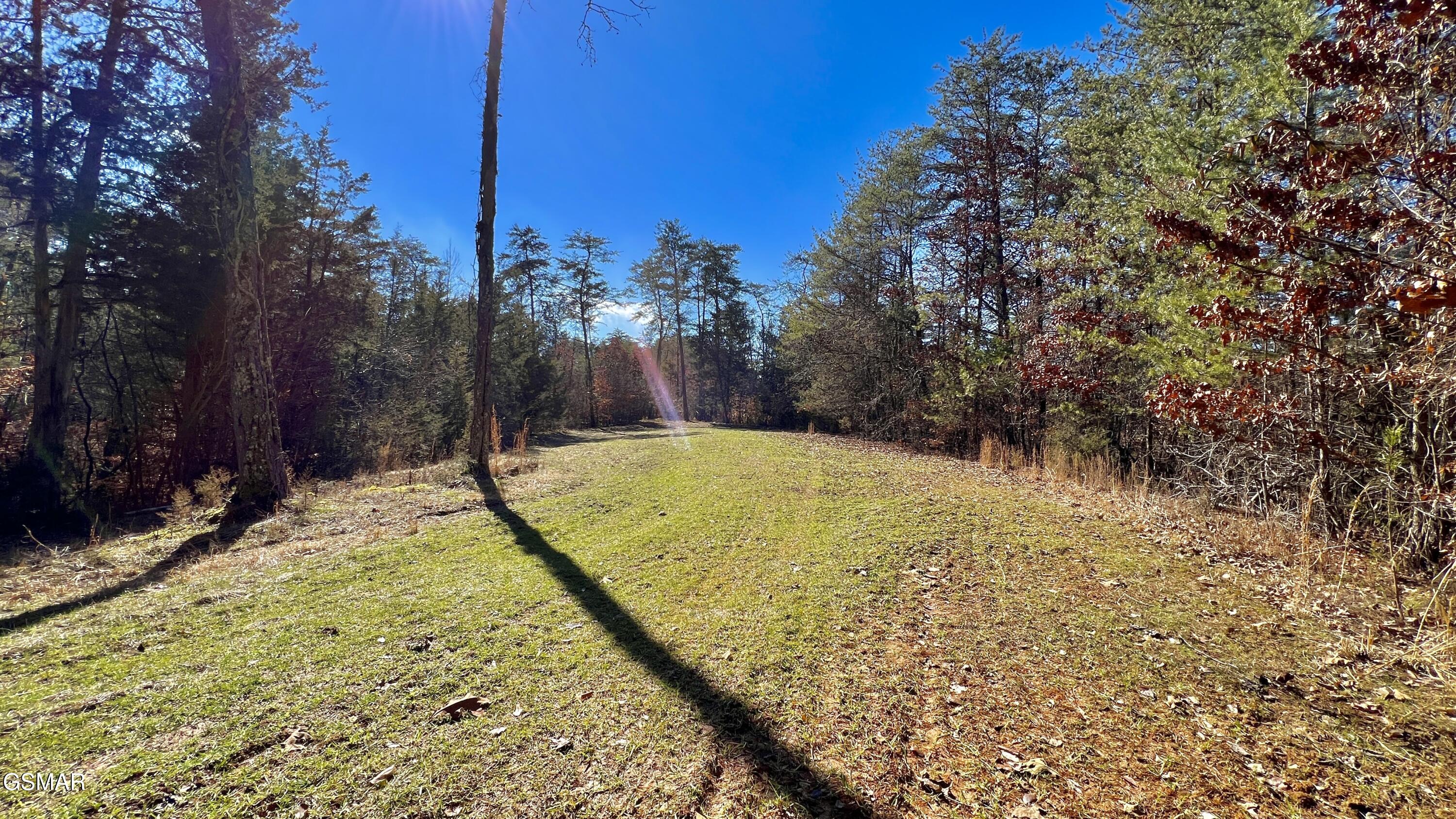 1803 Elkins Road Kodak TN 37764