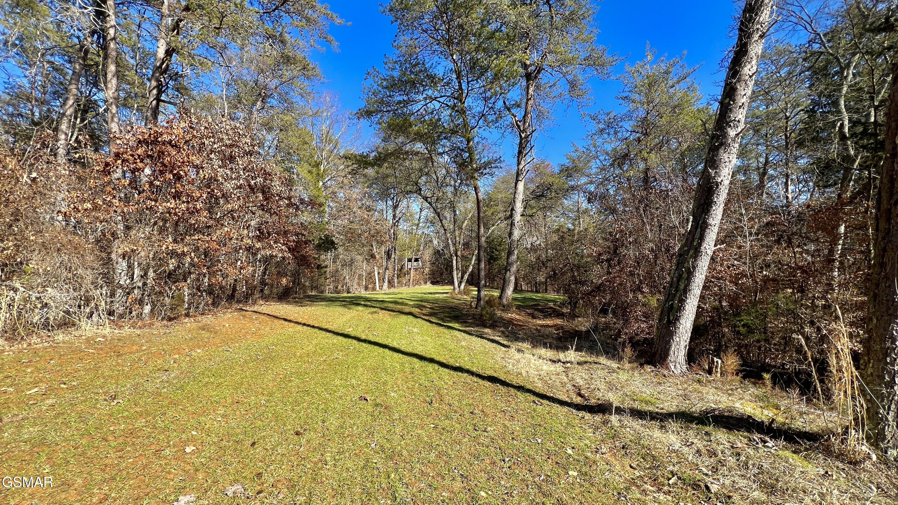 1803 Elkins Road Kodak TN 37764